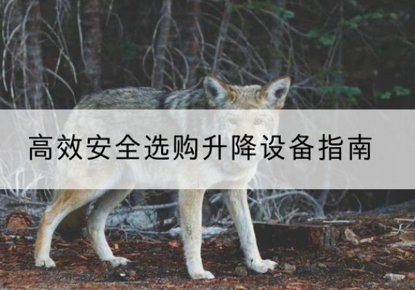 宁城升降货梯厂家推荐-*安全选购升降设备指南
