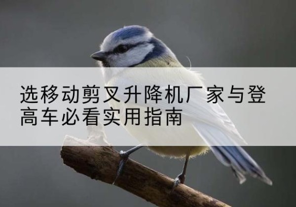 宁城电动升降机厂家-选移动剪叉升降机厂家与登高车必看实用指南